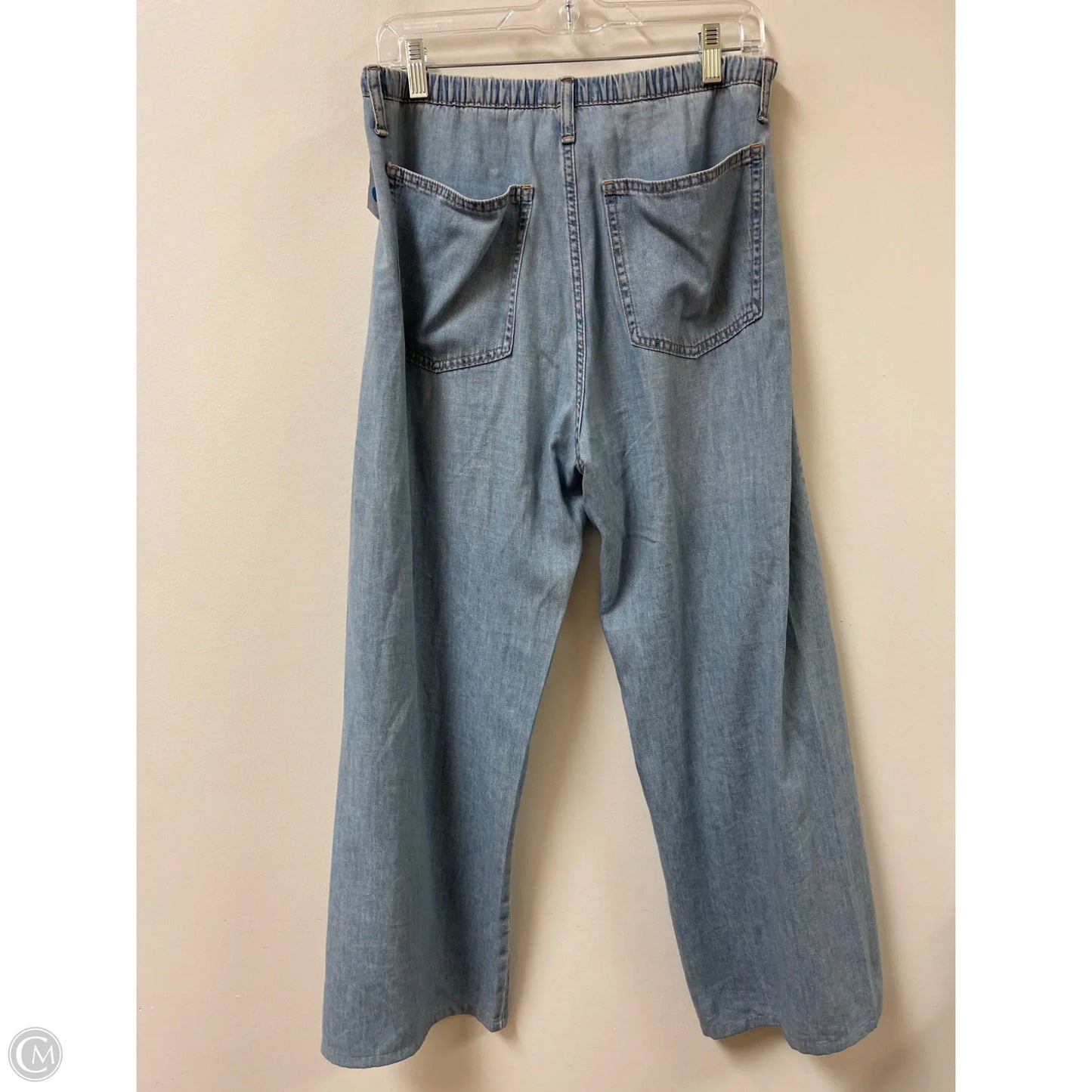 Pants Other By Zara In Blue, Size: 10