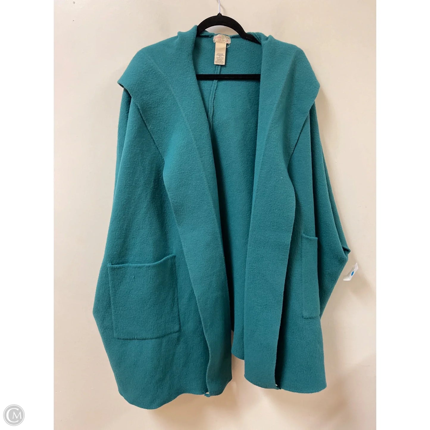 Sweater Cardigan By Free People In Teal, Size: Osfm