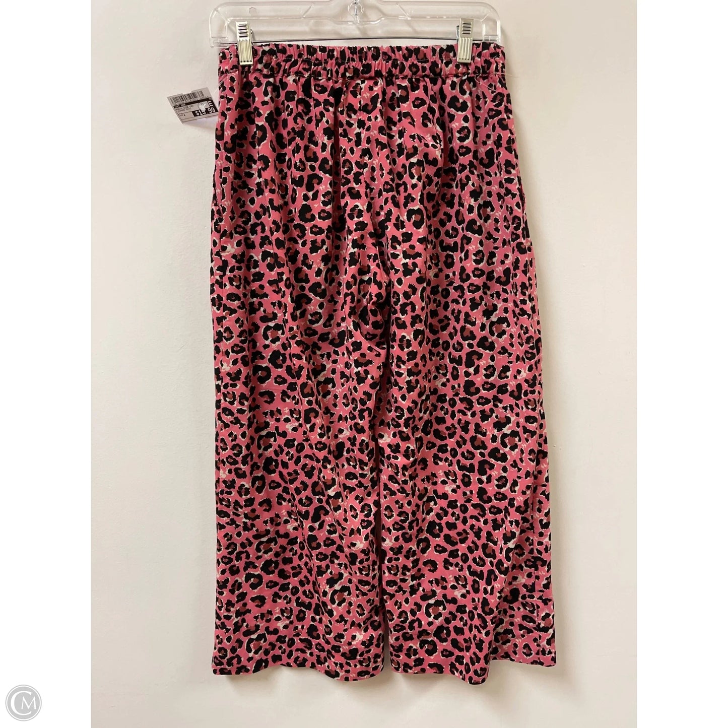 Pants Wide Leg By Ivy Jane In Leopard Print, Size: 4