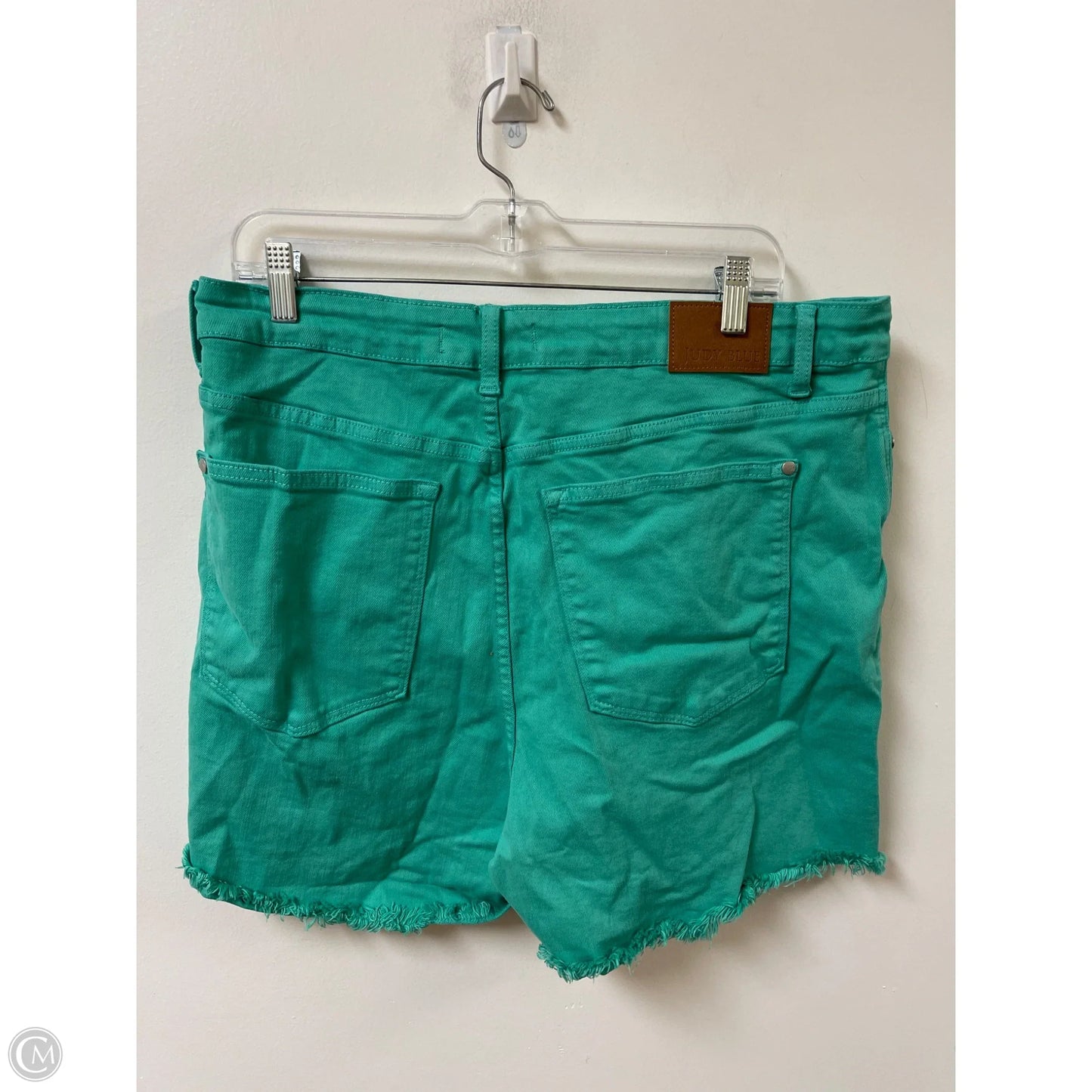 Shorts By Judy Blue In Teal, Size: 3x