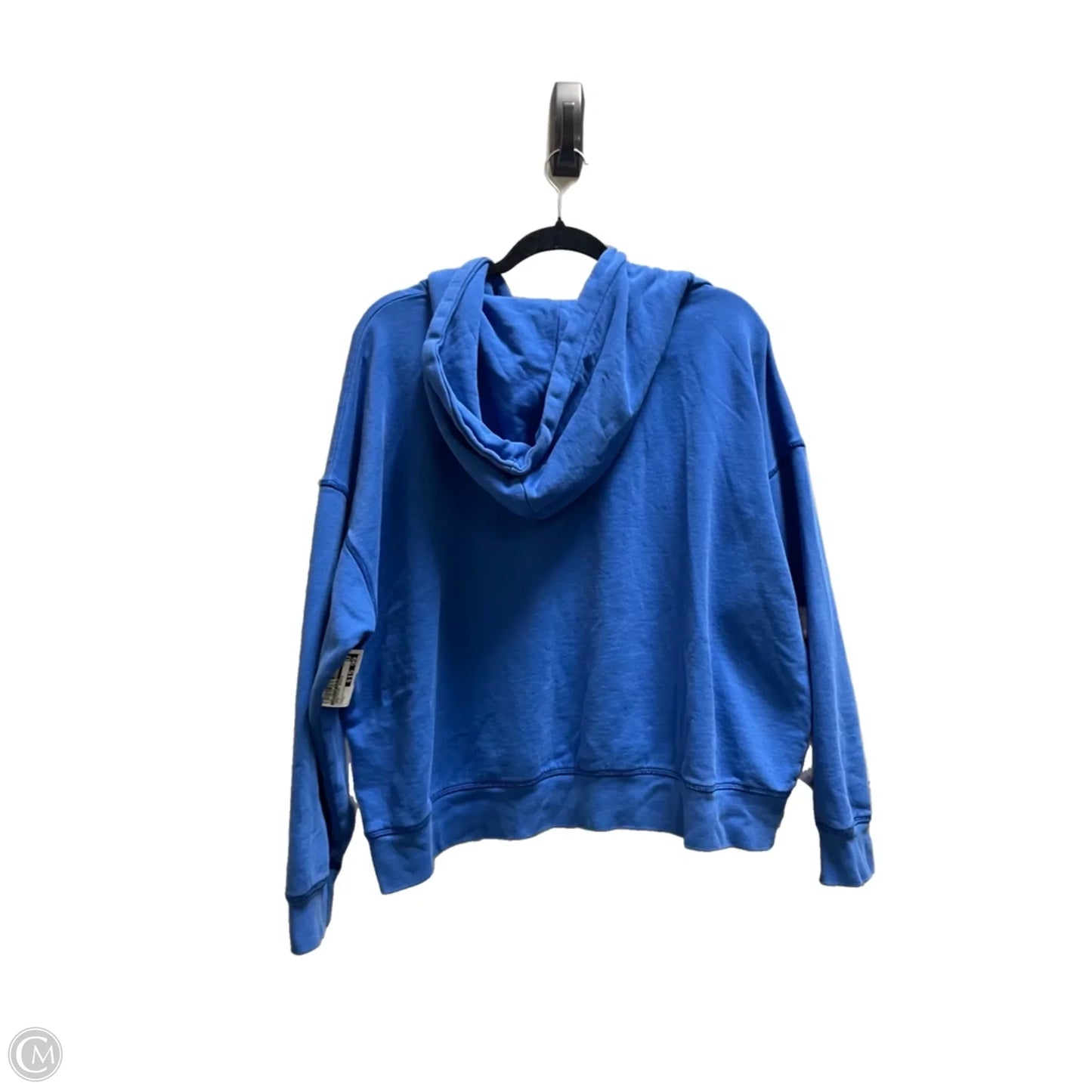 Sweatshirt Hoodie By American Eagle In Blue, Size: L