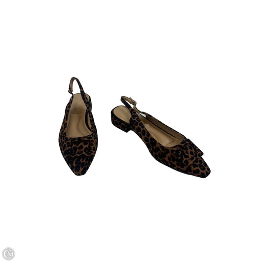 Shoes Flats By Cl By Chinese Laundry In Animal Print, Size: 9.5