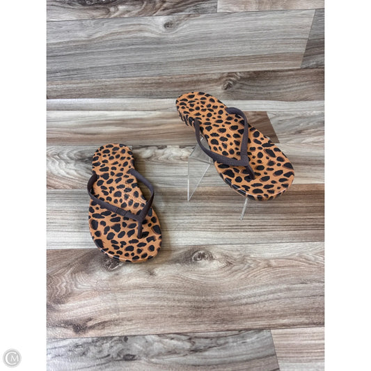 Sandals Flip Flops By Fitflop In Animal Print, Size: 9