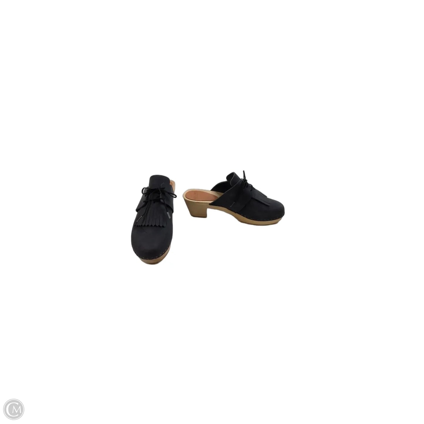 Shoes Heels Block By Clothes Mentor In Blue, Size: 12