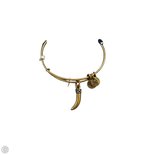 Bracelet Bangle By Alex And Ani