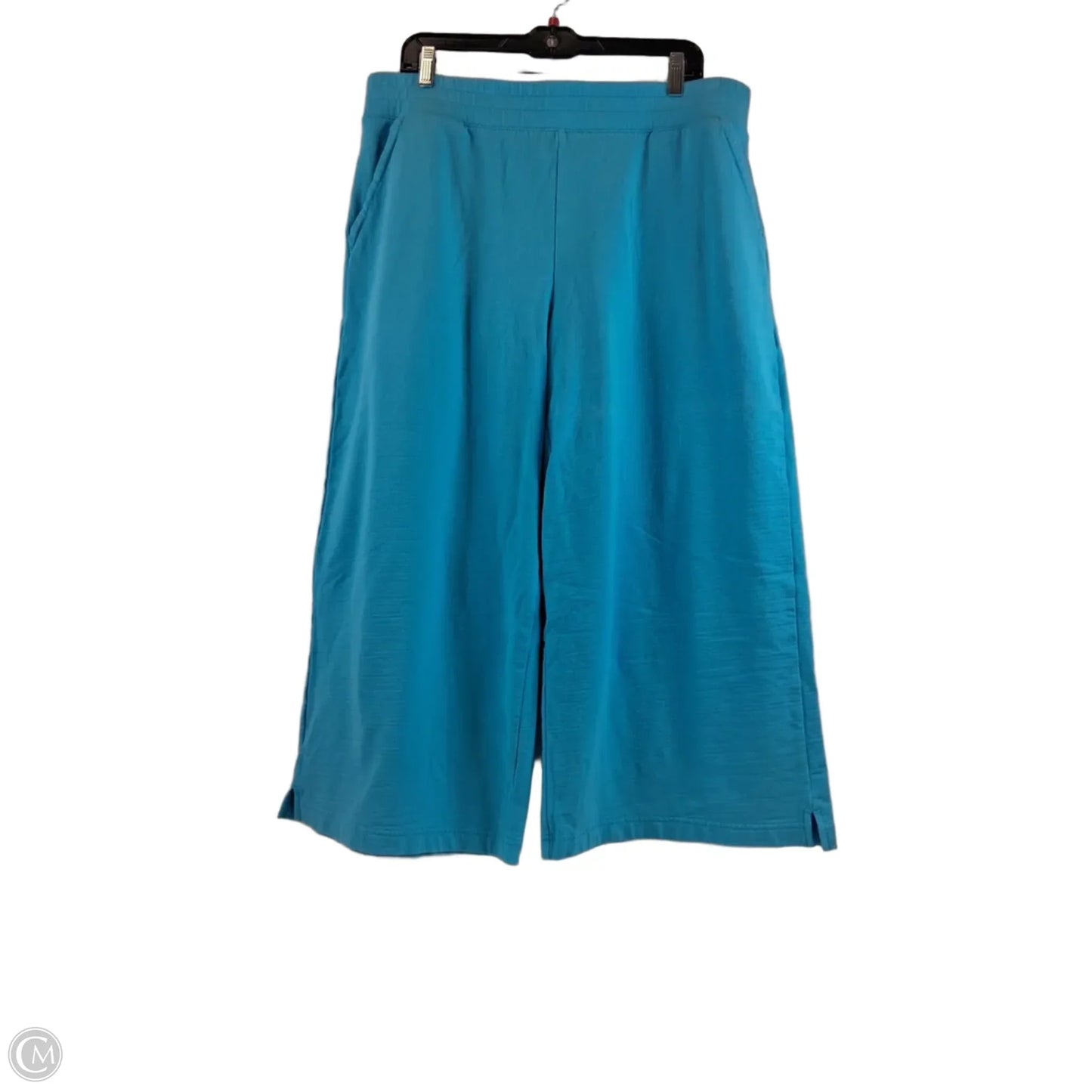 Pants Cropped By Talbots In Aqua, Size: 14