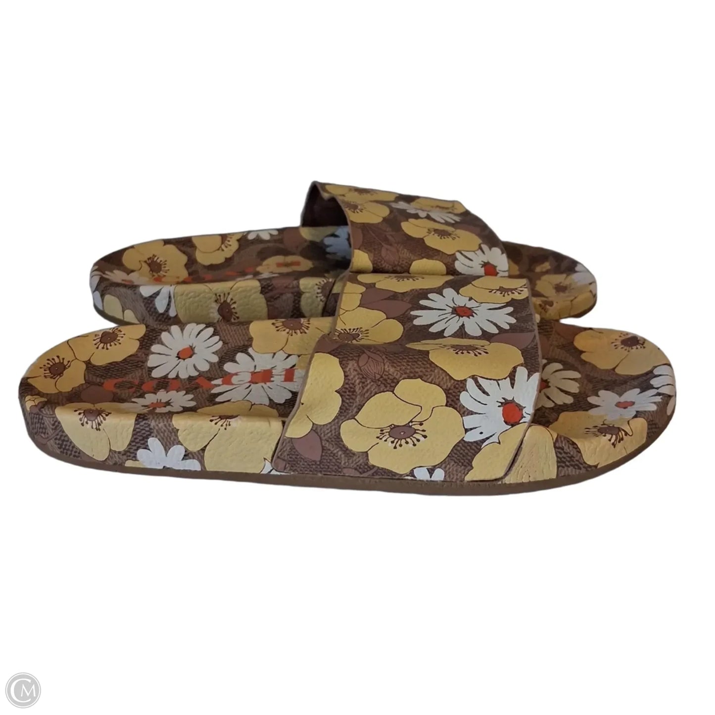 Sandals Designer By Coach In Brown & Yellow, Size: 8