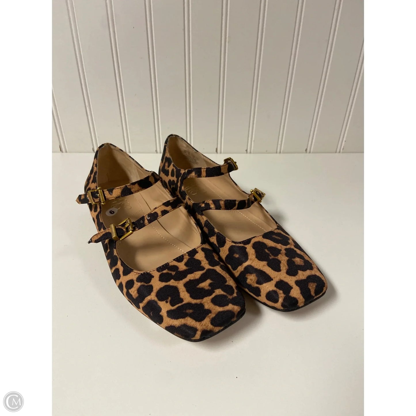 Shoes Flats By Franco Sarto In Leopard Print, Size: 6