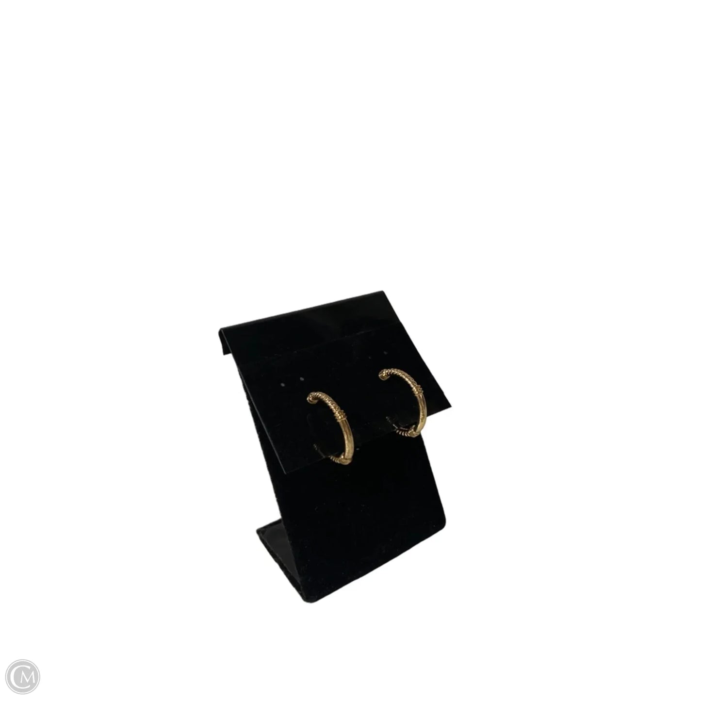 Earrings Hoop By Clothes Mentor