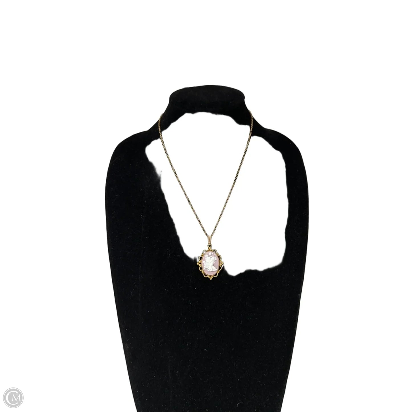 Necklace Pendant By Clothes Mentor