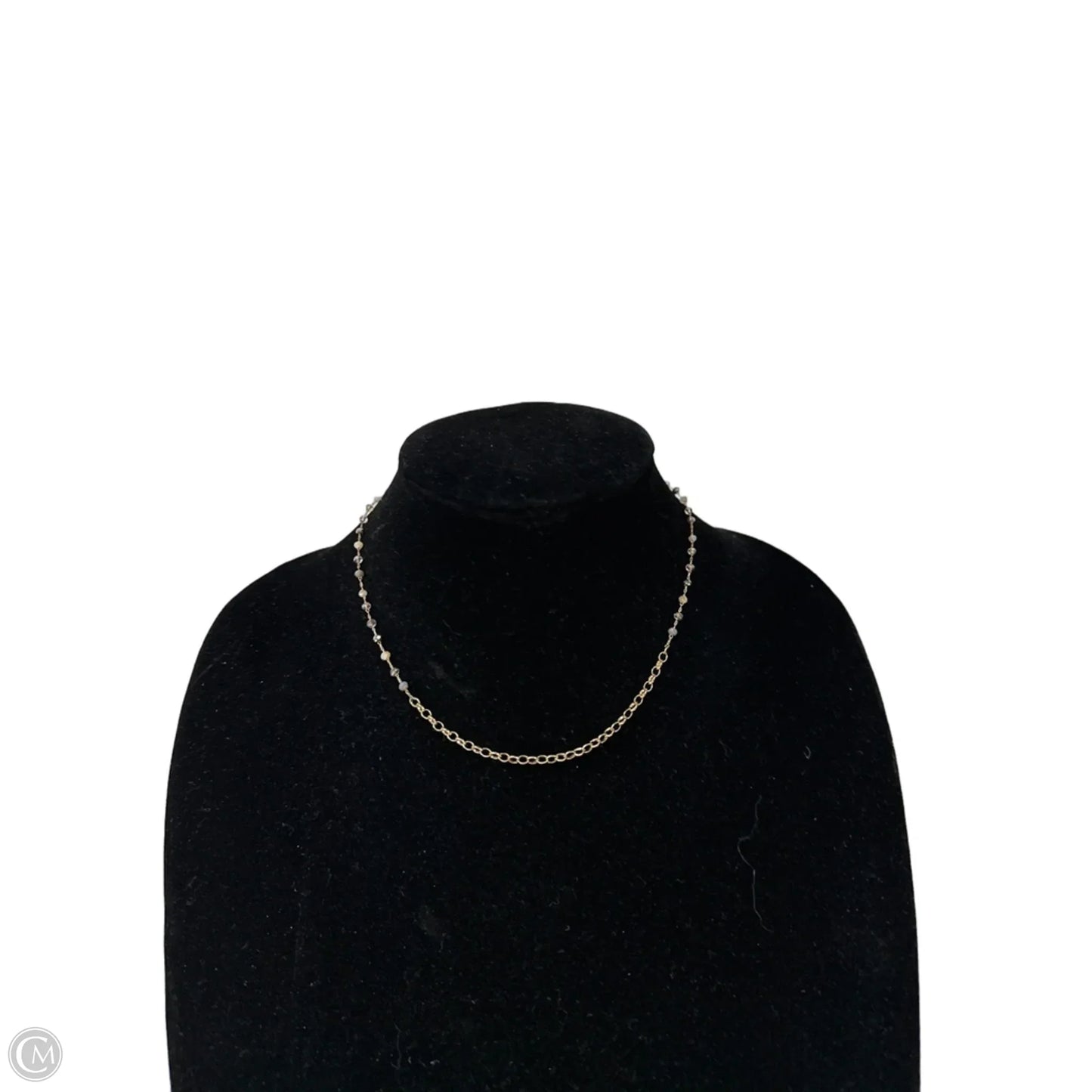 Necklace Layered By Clothes Mentor