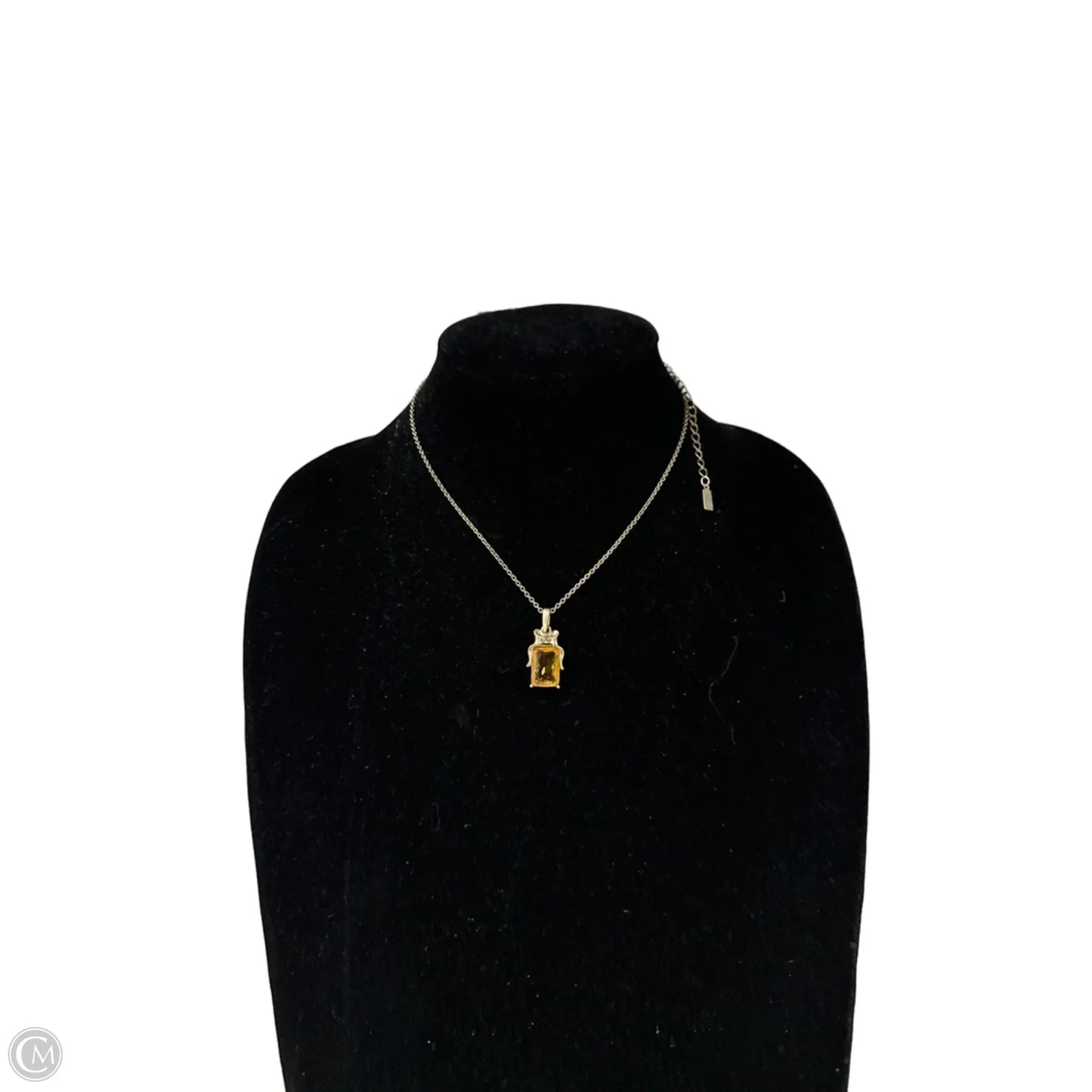 Necklace Pendant By Clothes Mentor
