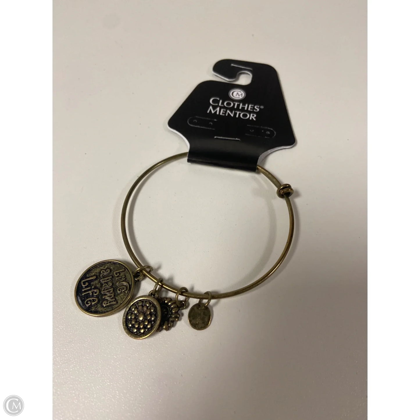 Bracelet Bangle By Clothes Mentor