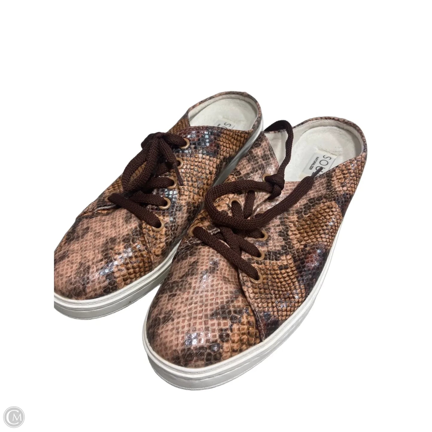 Shoes Flats By Naturalizer In Snakeskin Print, Size: 8.5