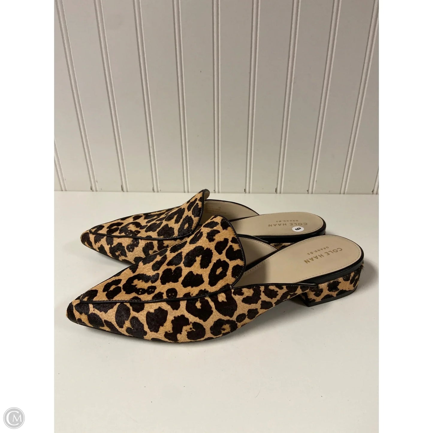 Shoes Flats By Cole-haan In Animal Print, Size: 9
