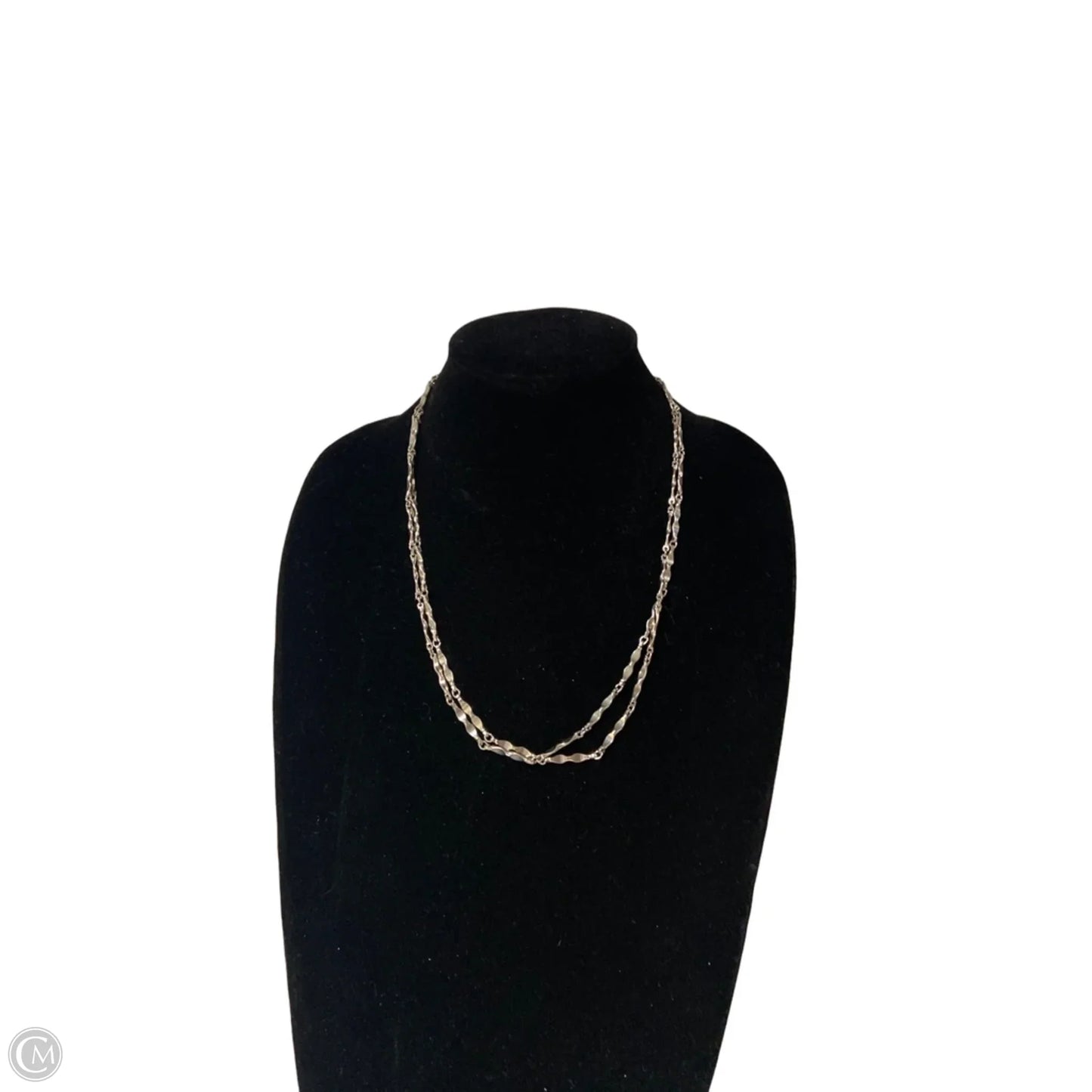 Necklace Chain By Clothes Mentor