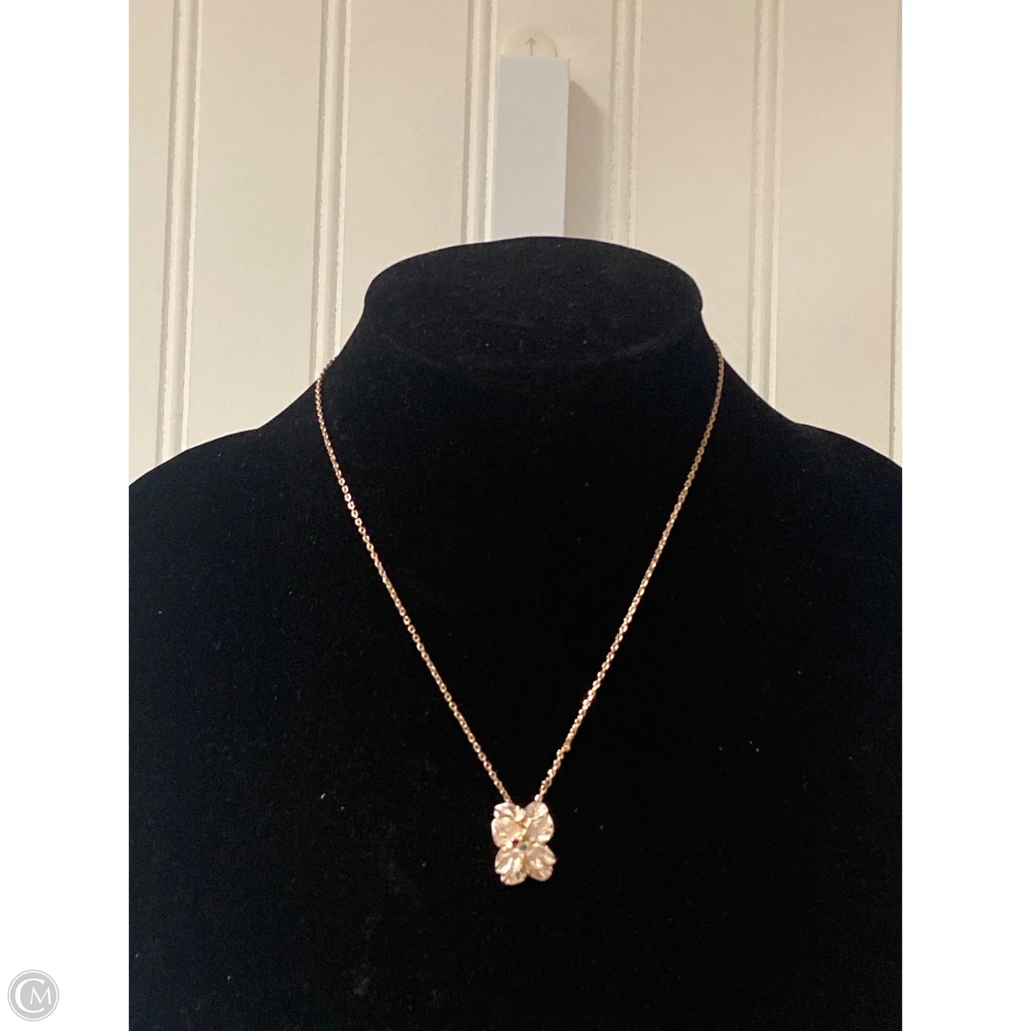 Necklace Chain By Clothes Mentor