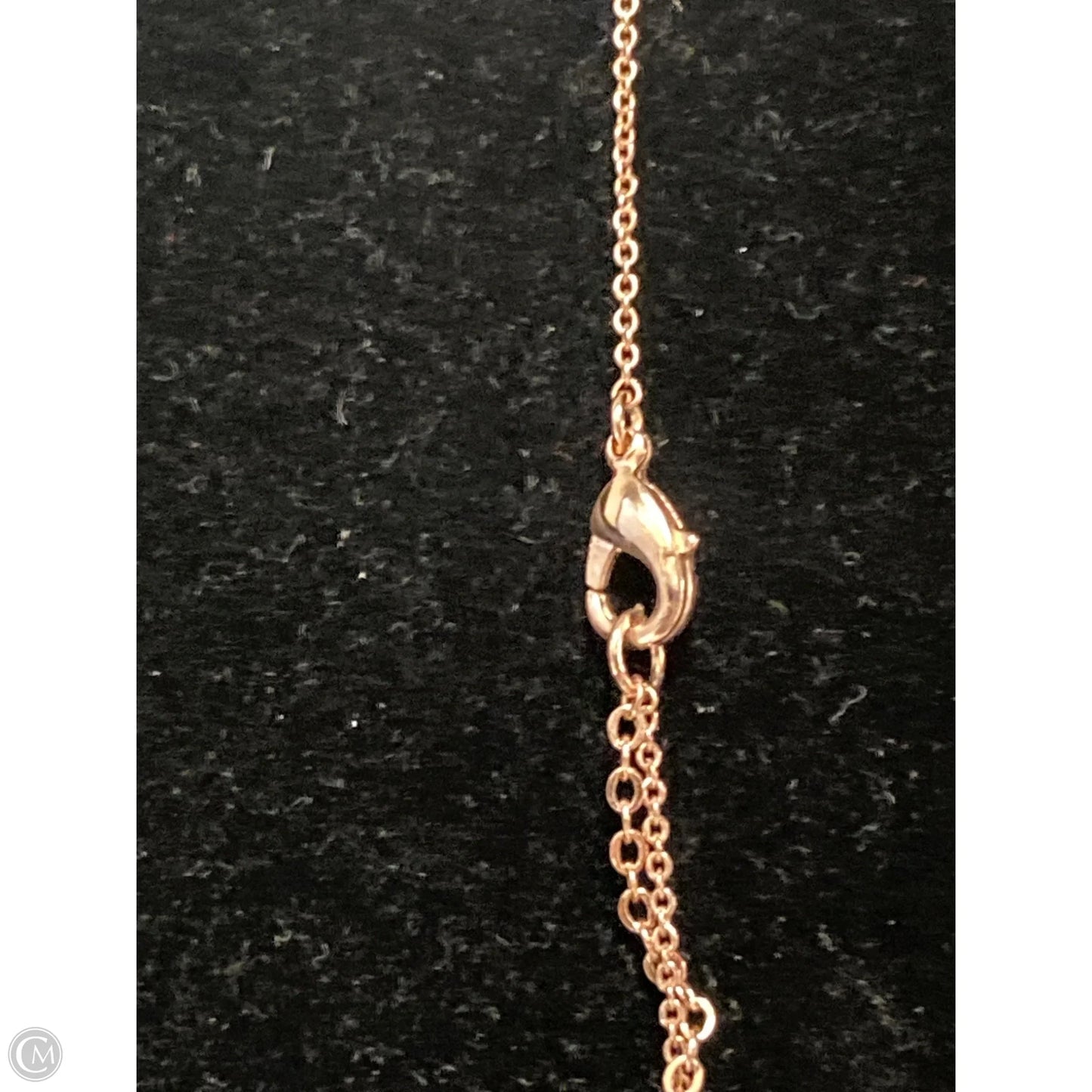 Necklace Chain By Clothes Mentor