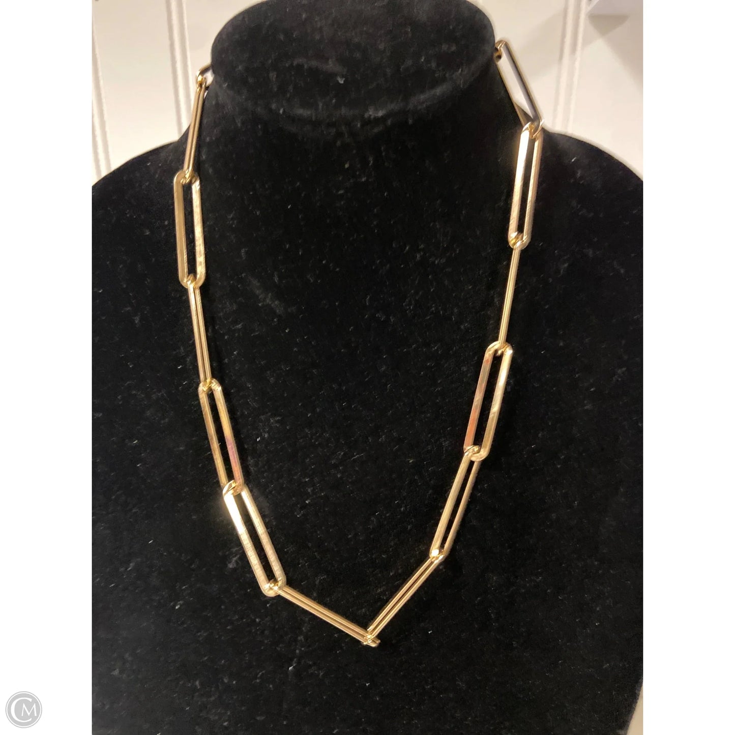 Necklace Chain By Clothes Mentor
