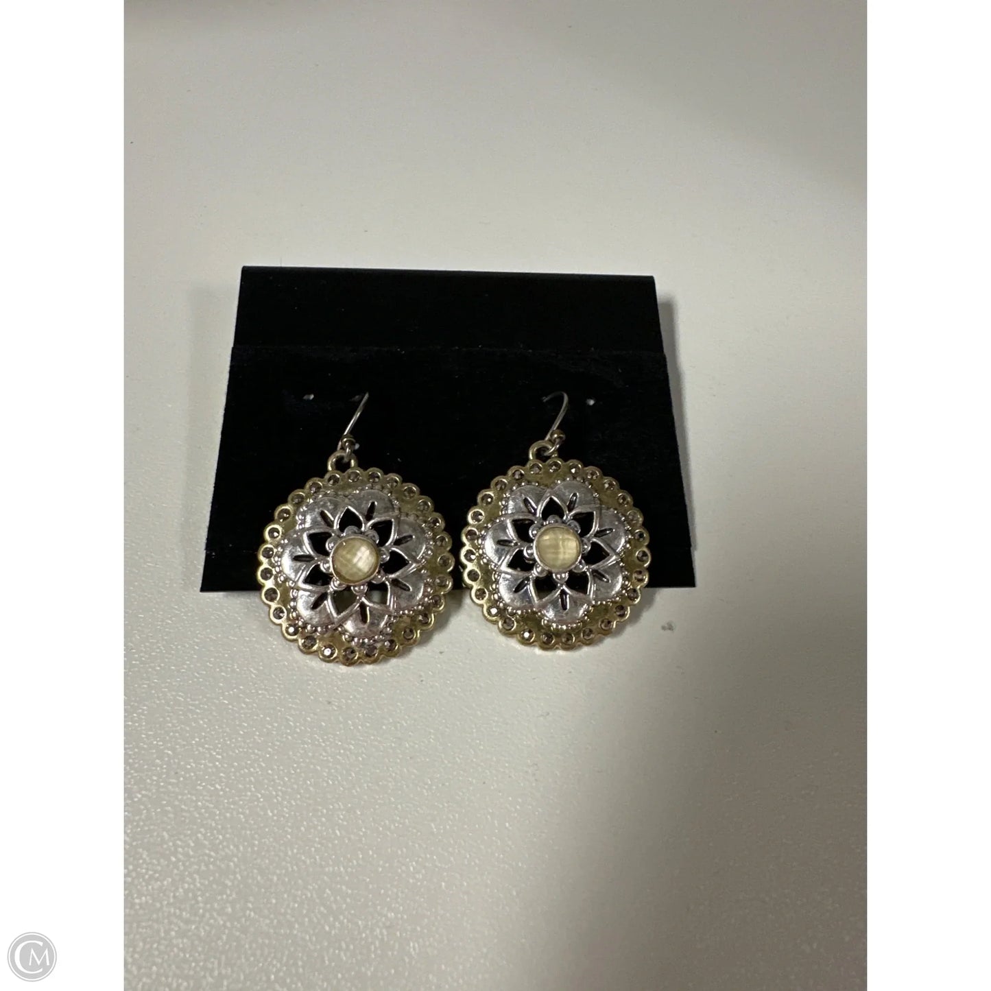 Earrings Dangle/drop By Clothes Mentor