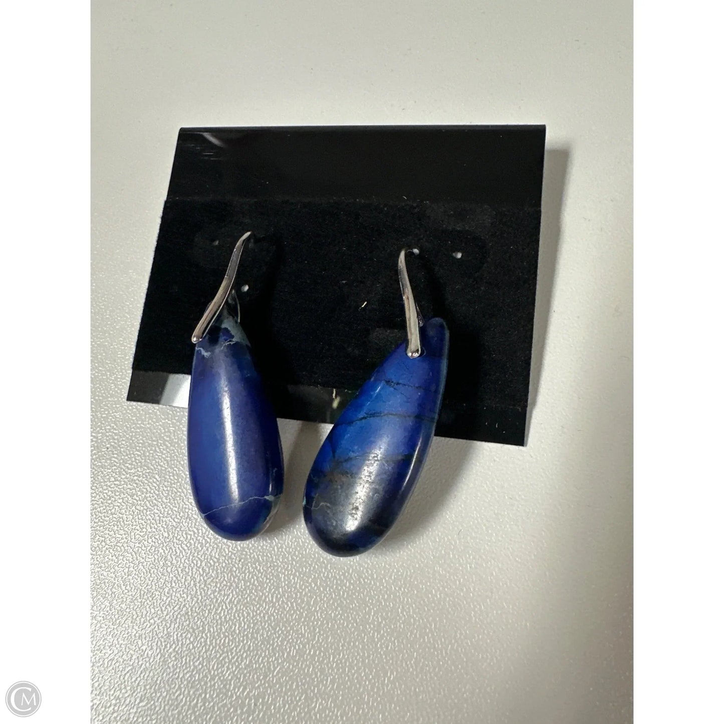 Earrings Dangle/drop By Cme