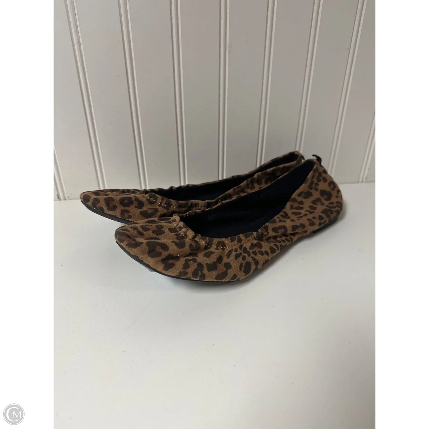 Shoes Flats By American Eagle In Animal Print, Size: 9.5