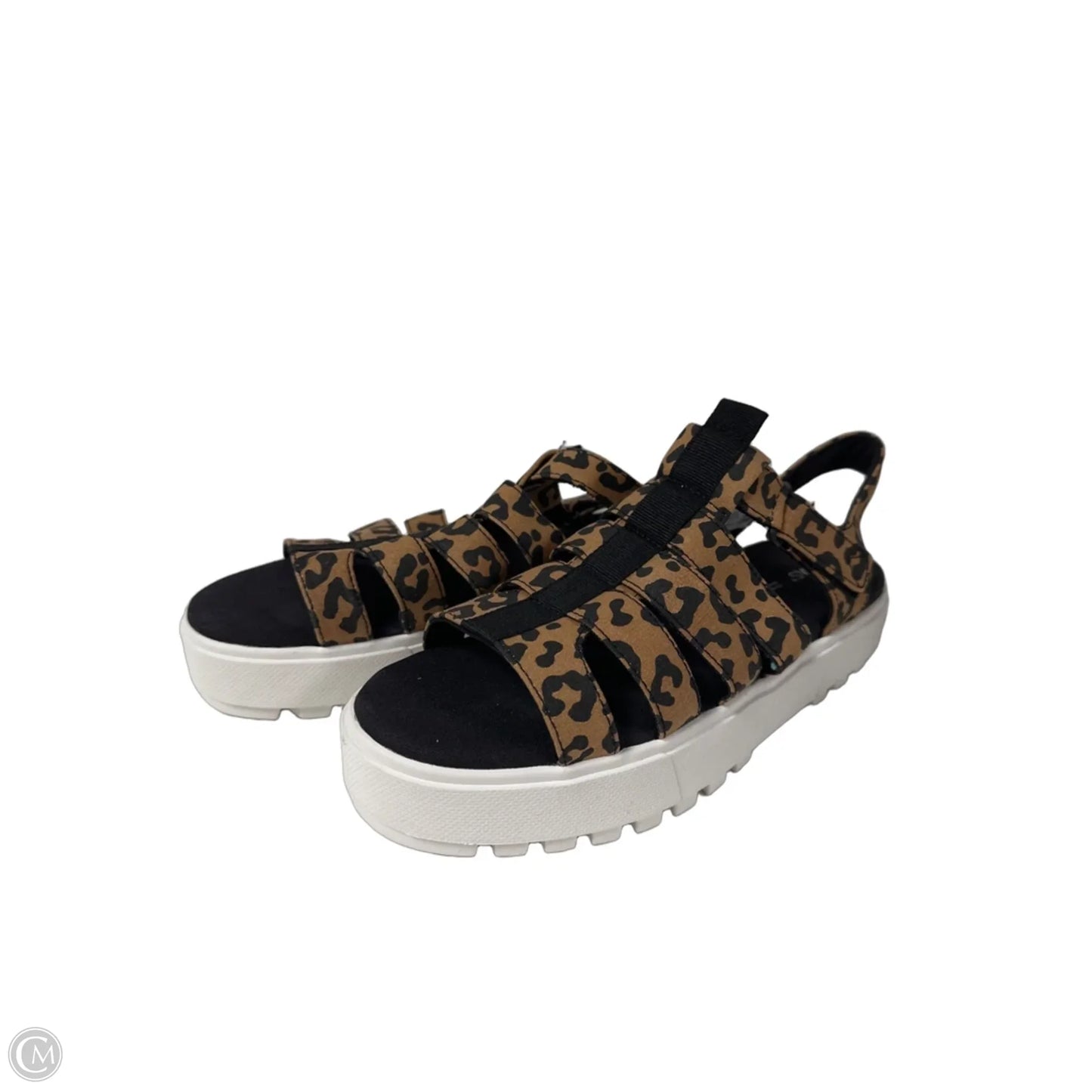 Sandals Flats By Toms In Leopard Print, Size: 9