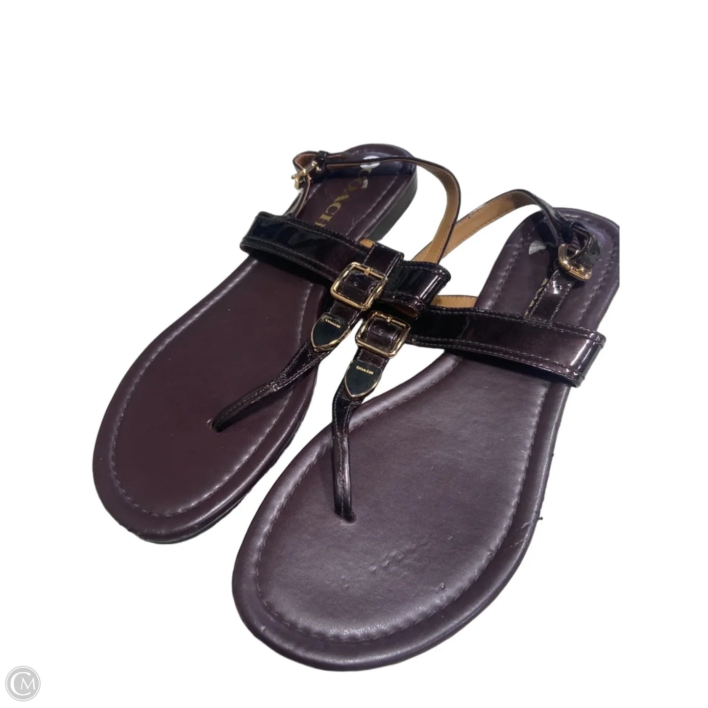Sandals Designer By Coach In Purple, Size: 8