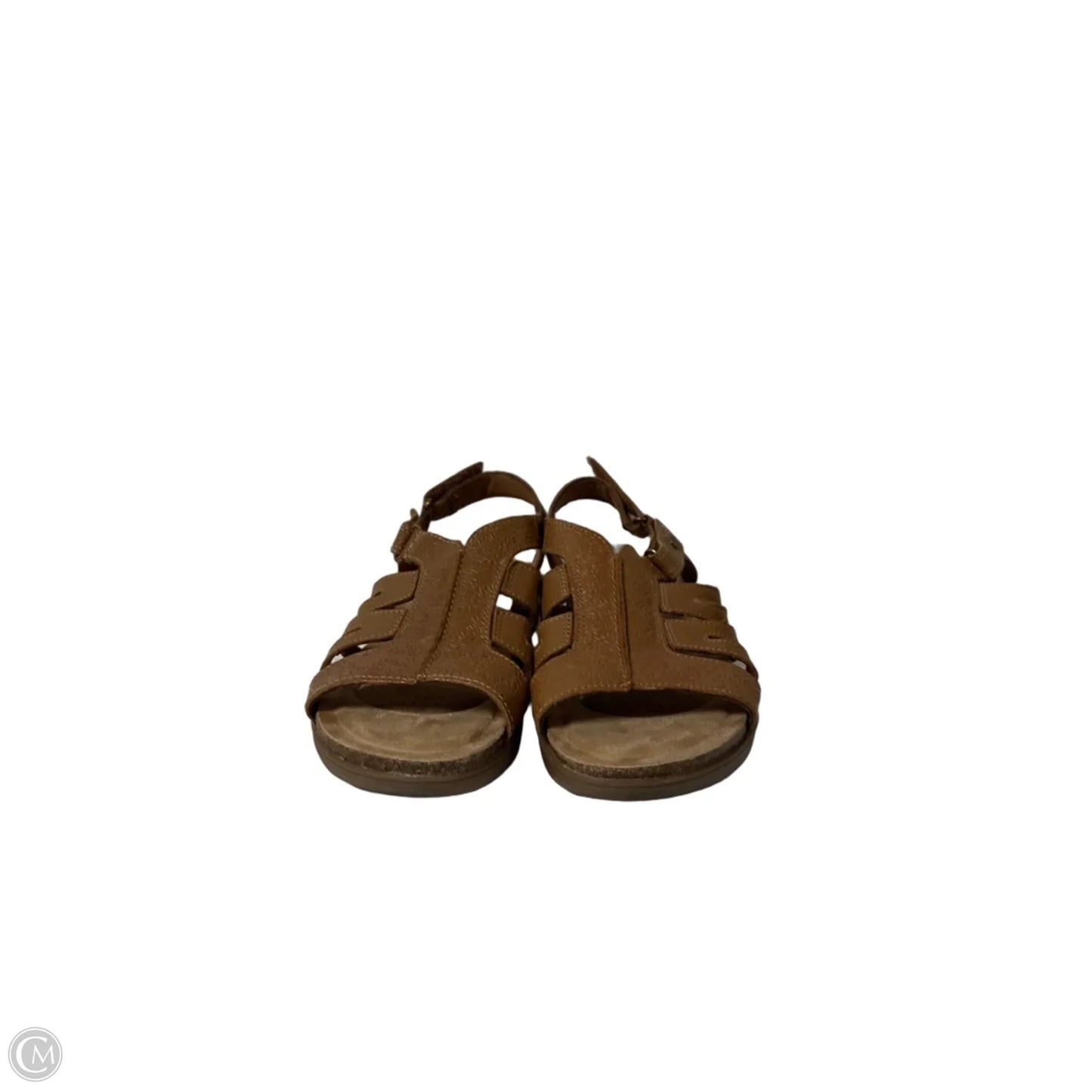 Sandals Flip Flops By Clarks In Camouflage Print, Size: 8