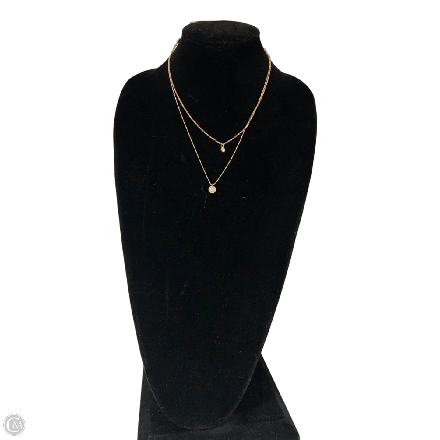 Necklace Chain By Clothes Mentor, Size: 02 Piece Set