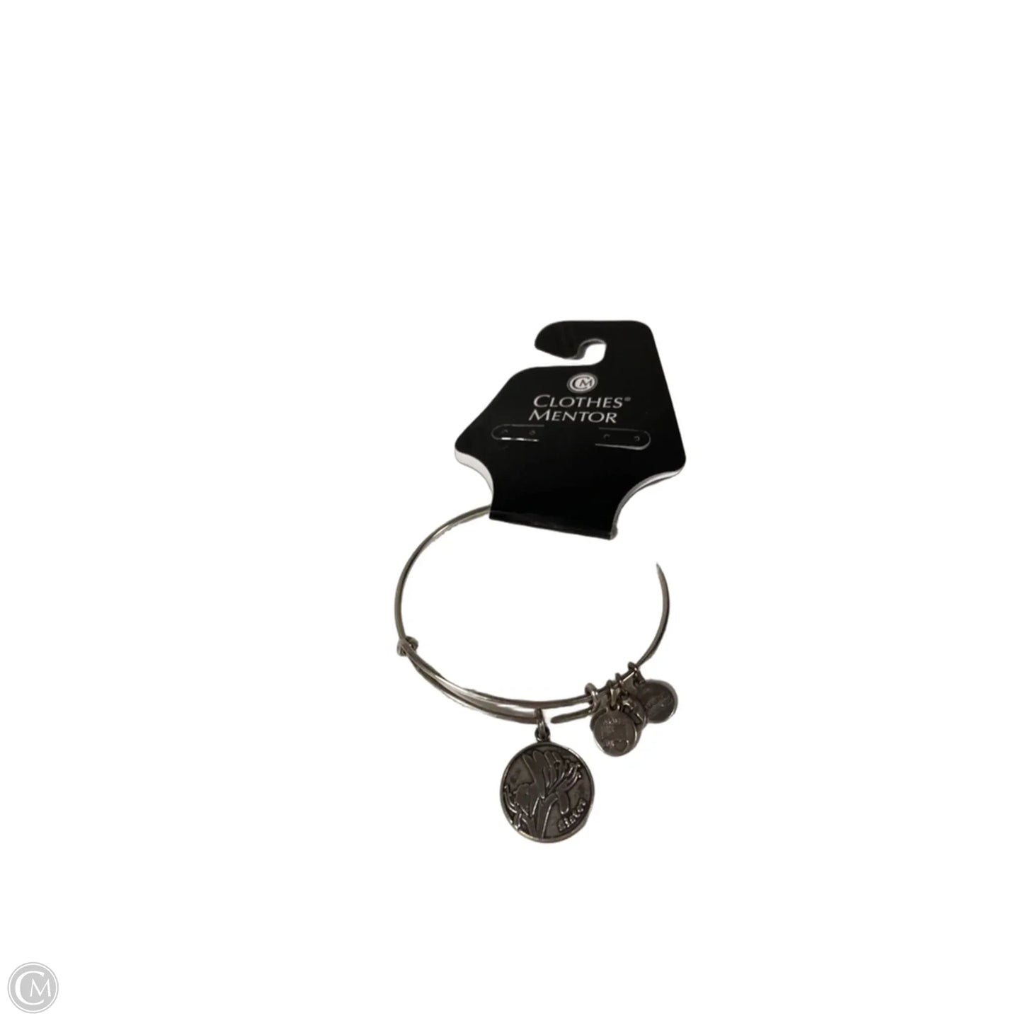 Bracelet Bangle By Alex And Ani