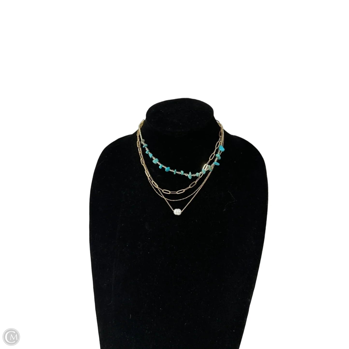 Necklace Layered By Clothes Mentor