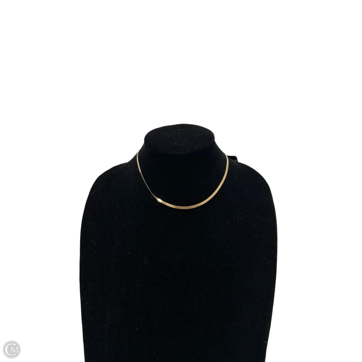 Necklace Chain By Clothes Mentor