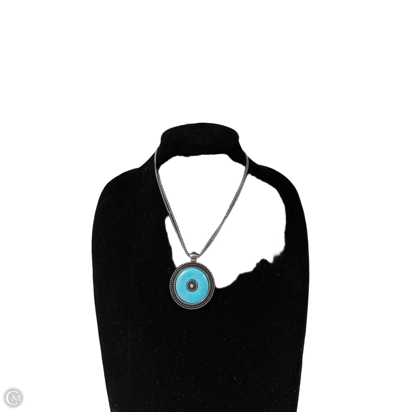 Necklace Pendant By Clothes Mentor