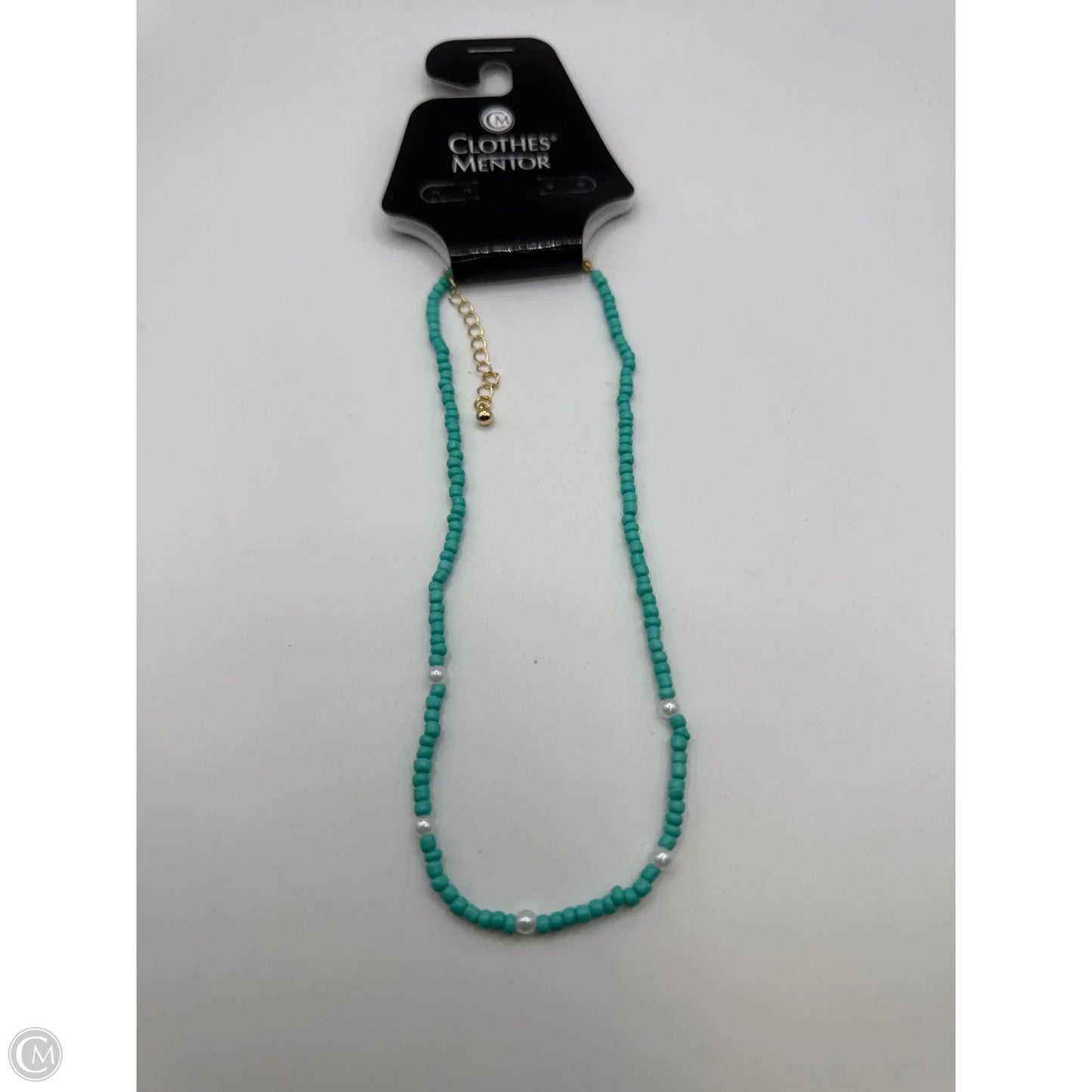 Necklace Choker & Collar By Clothes Mentor, Size: 1