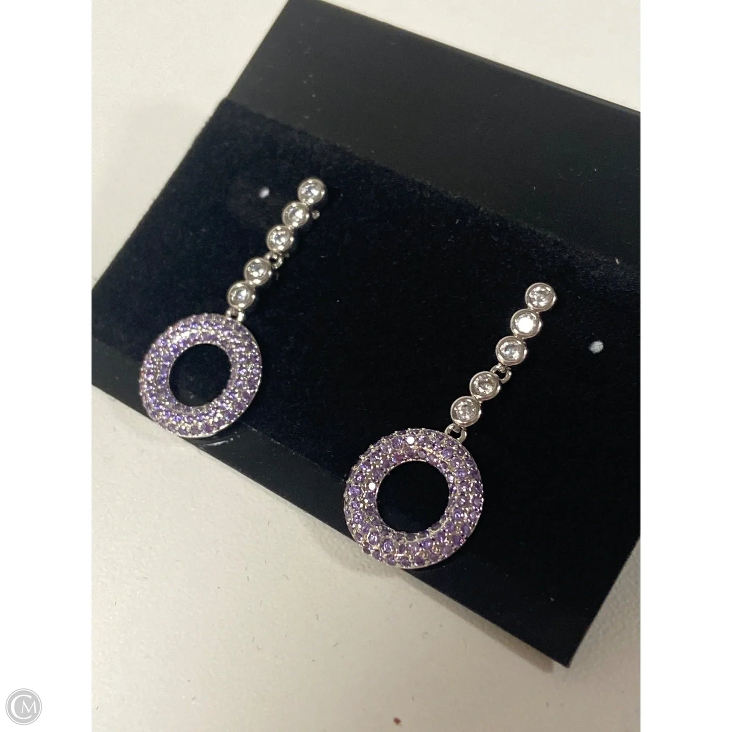 Earrings Dangle/drop By Clothes Mentor