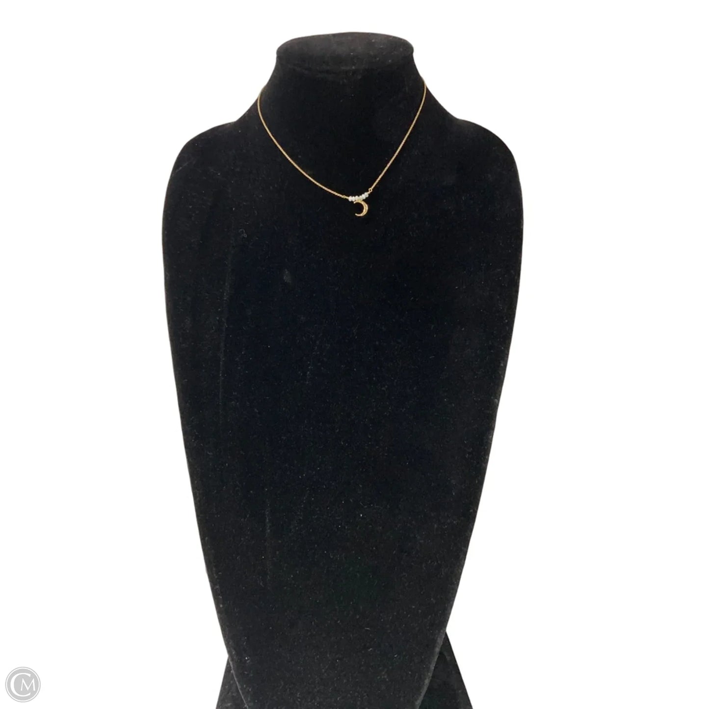Necklace Charm By Clothes Mentor, Size: 1