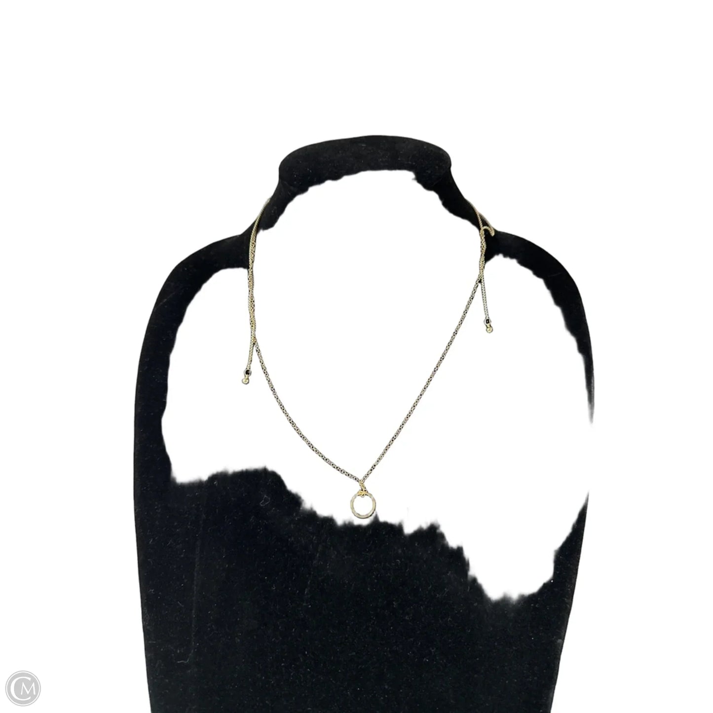Necklace Chain By Clothes Mentor, Size: 1