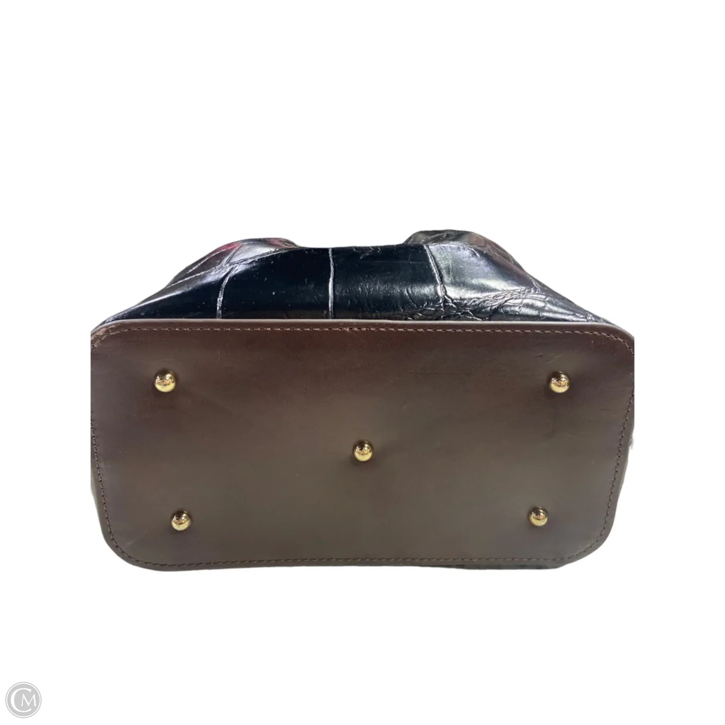 Handbag Designer By Dooney And Bourke, Size: Large