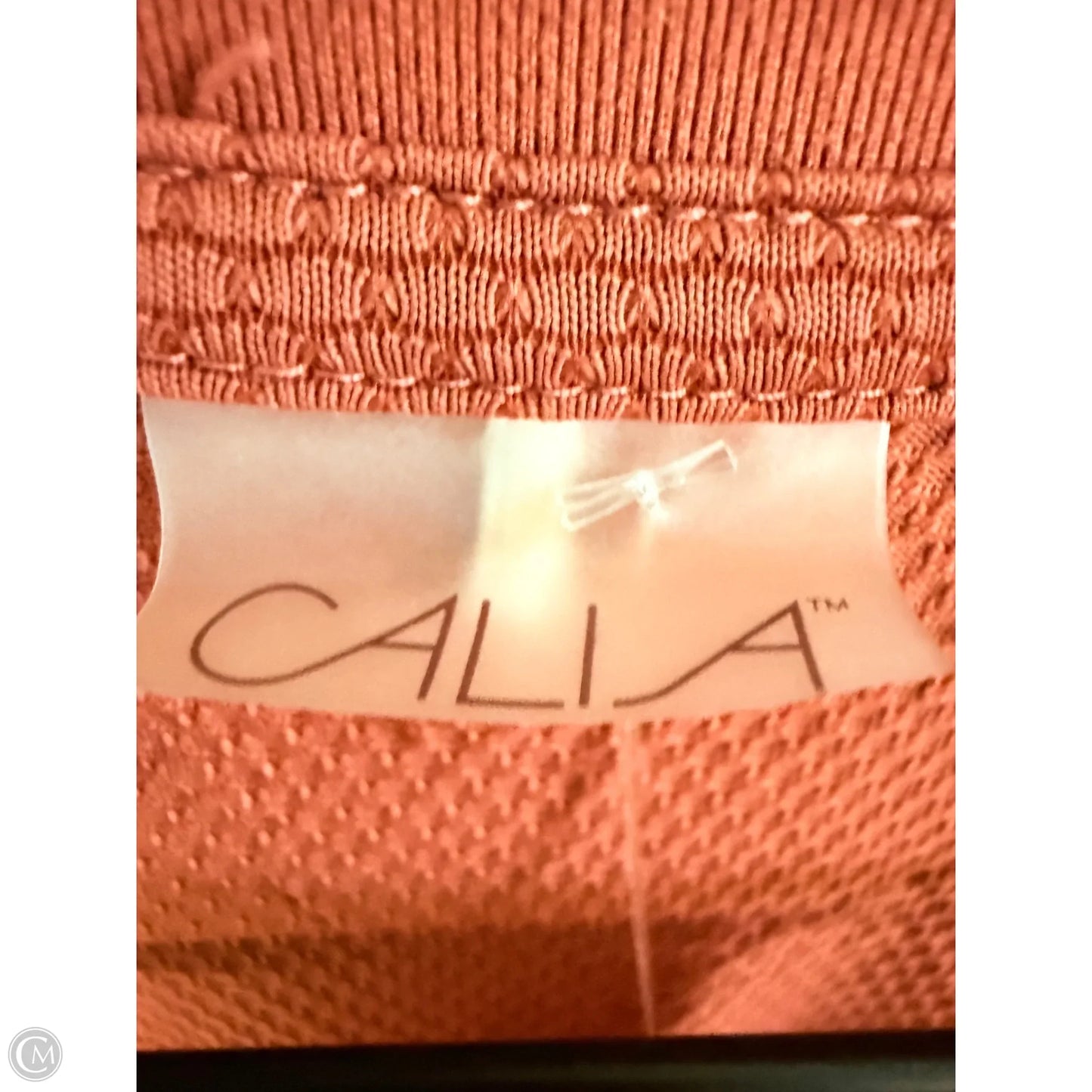 Athletic Top Long Sleeve Crewneck By Calia In Orange, Size: L