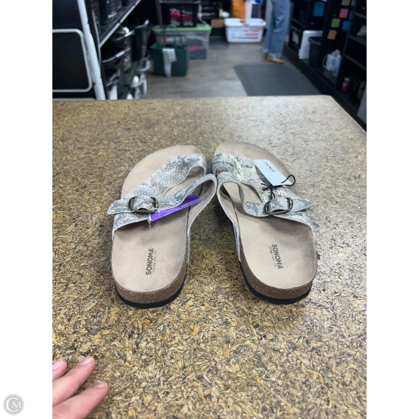 Sandals Flats By Sonoma In Snakeskin Print, Size: 9