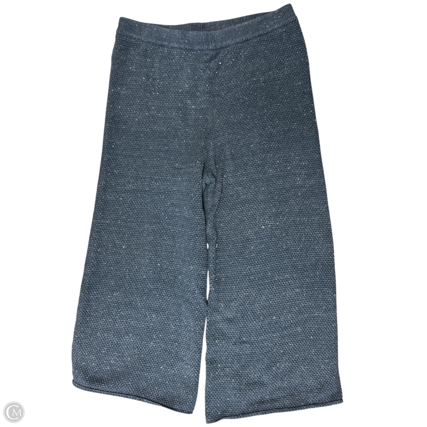 Pants Set 2pc By Free People In Blue, Size: Xl