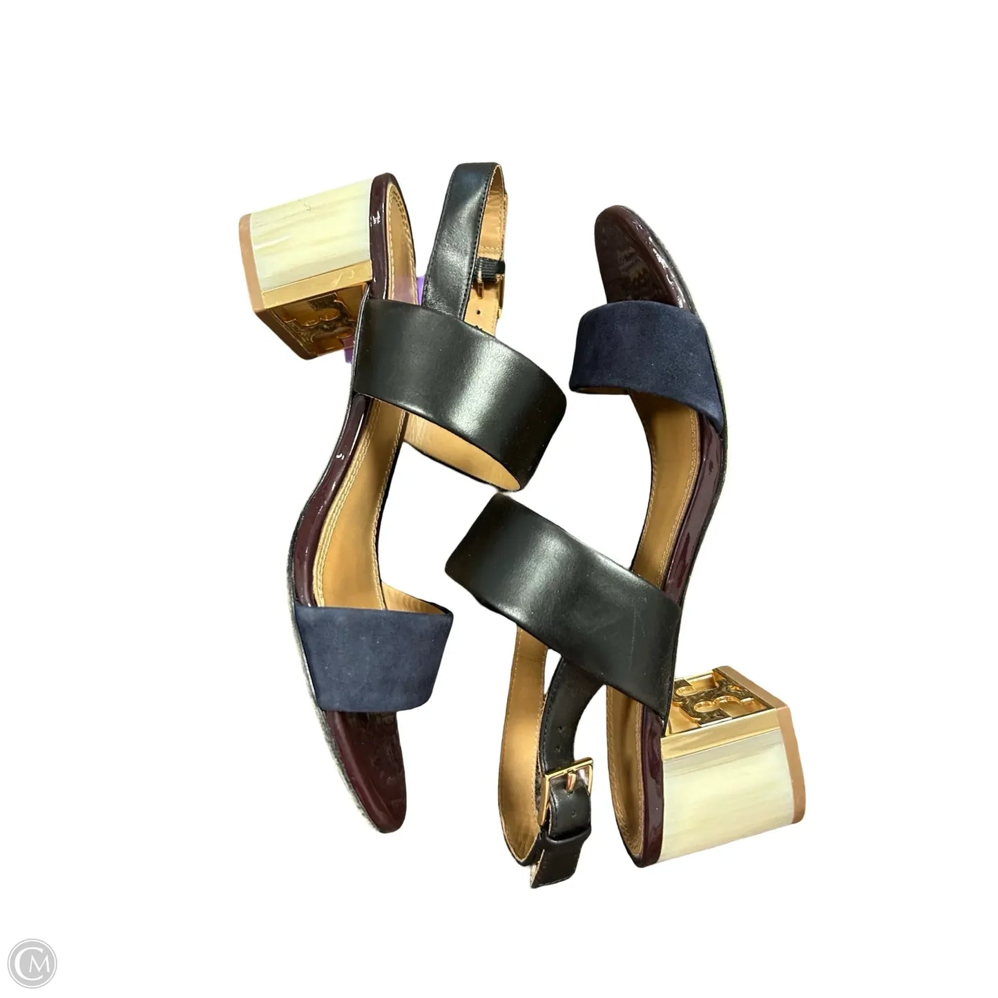 Shoes Designer By Tory Burch In Black & Blue, Size: 7