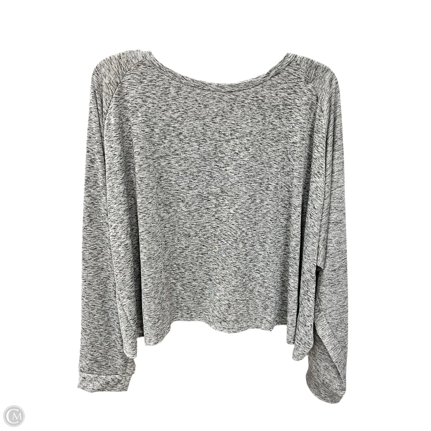 Athletic Top Long Sleeve Crewneck By Clothes Mentor In Grey, Size: 3x