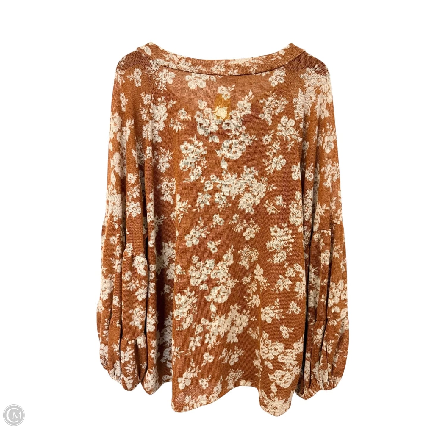 Top Long Sleeve By Oddi In Brown & Tan, Size: 3x