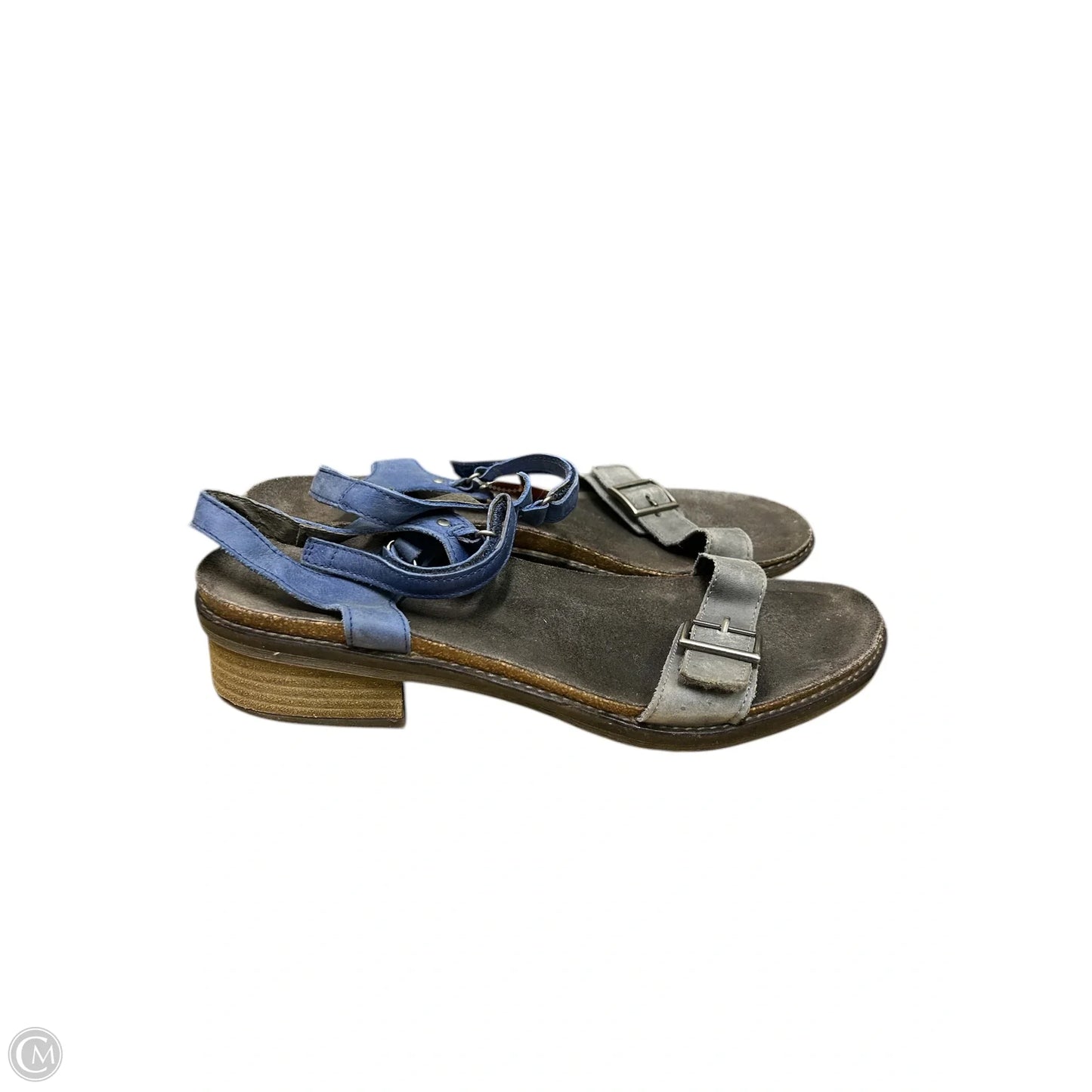 Sandals Flats By Naot In Blue & Grey, Size: 11