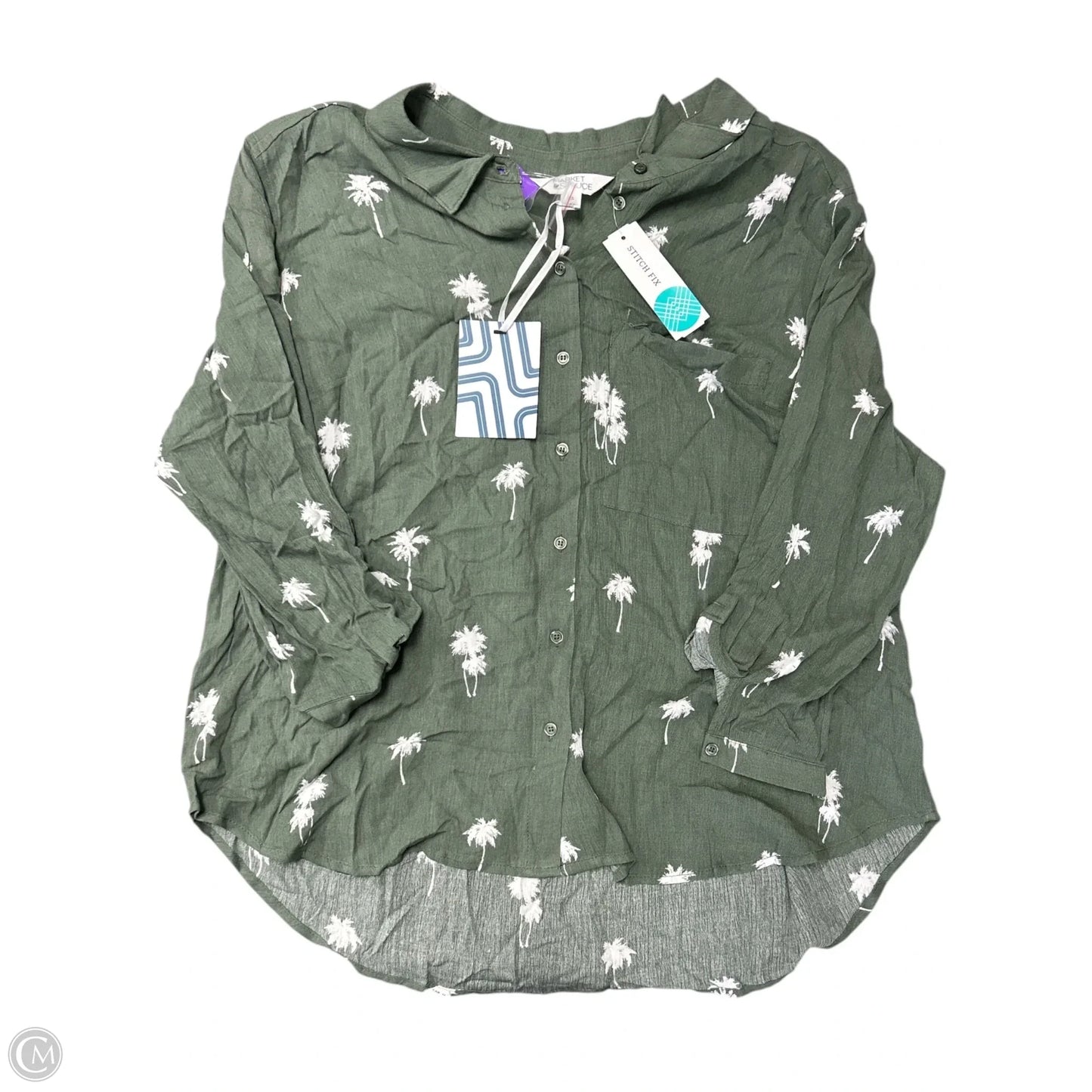Blouse Long Sleeve By Market & Spruce In Green & White, Size: Xxl