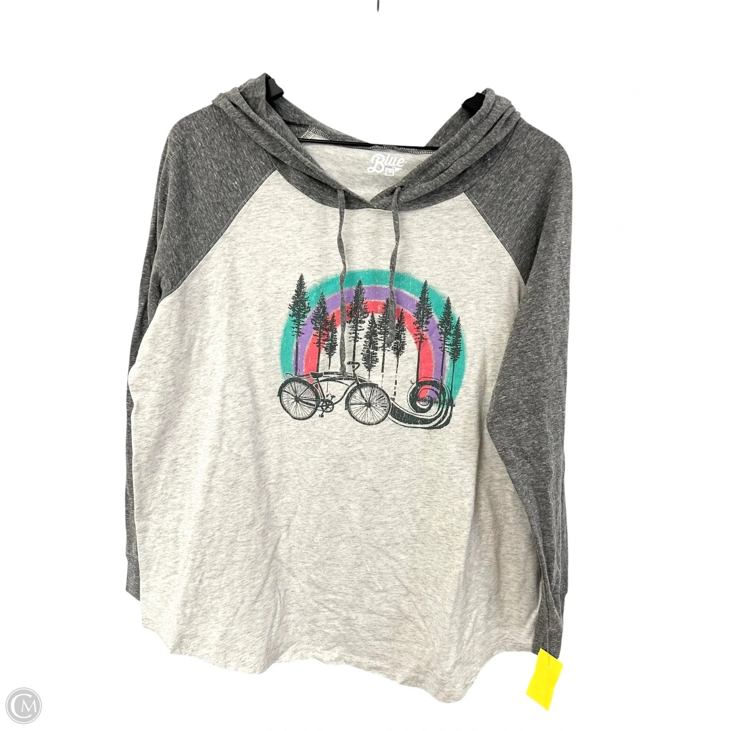 Top Long Sleeve By Blue 84 In Grey, Size: Xl