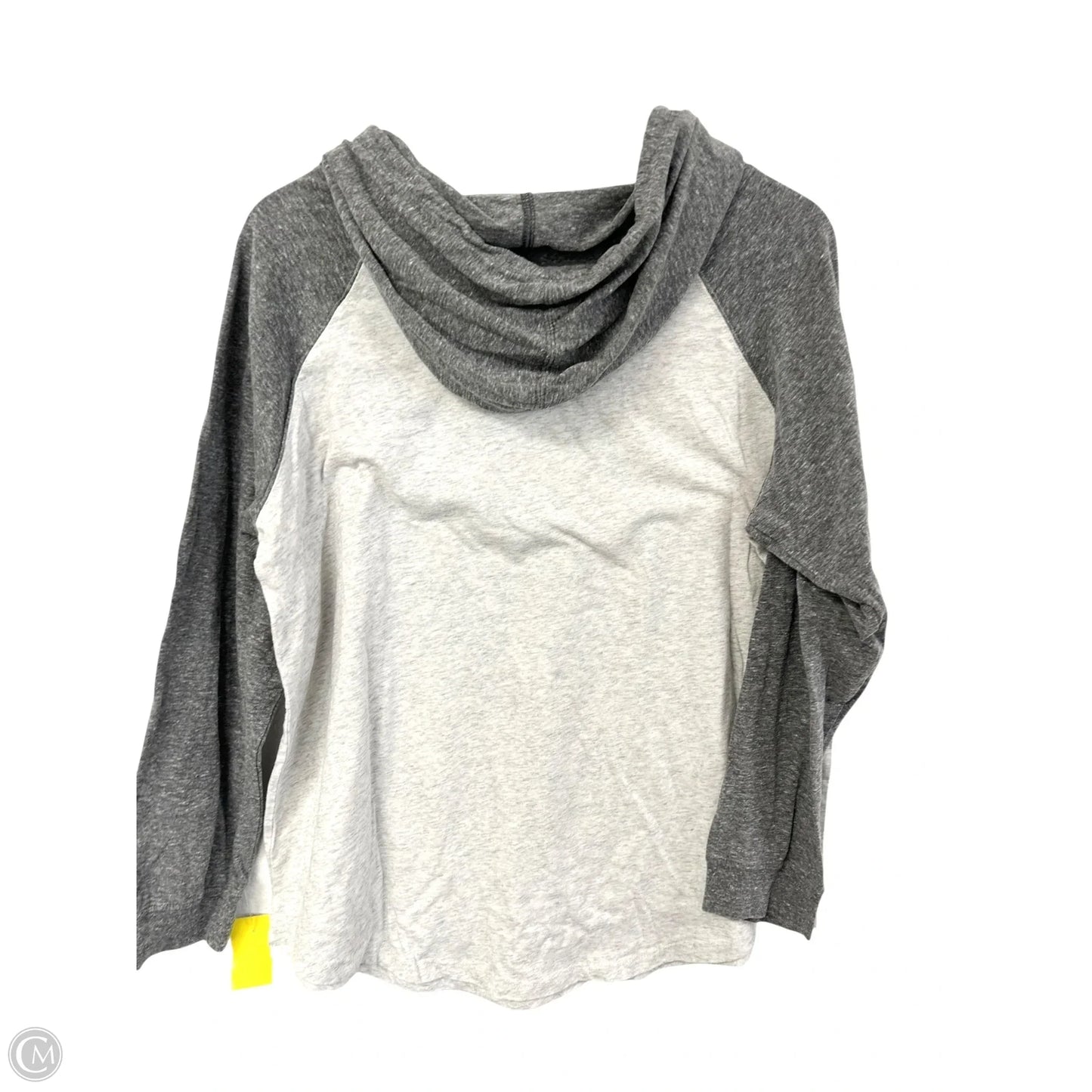 Top Long Sleeve By Blue 84 In Grey, Size: Xl