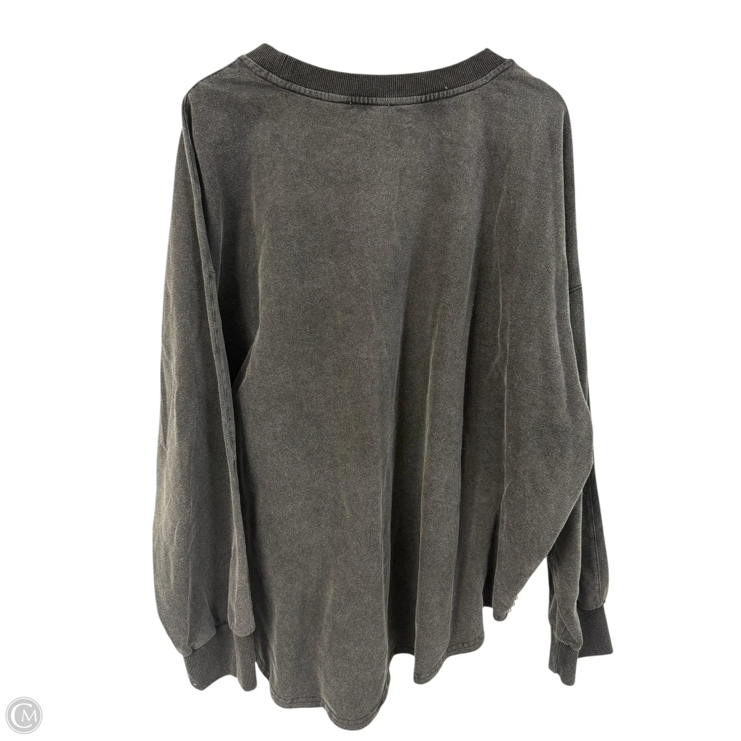 Sweatshirt Crewneck By White Birch In Grey, Size: 3x